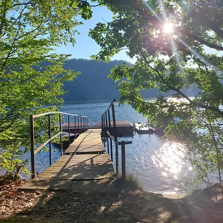 Zátoka živohošť - Kemp *