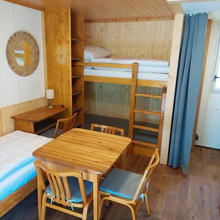 Zátoka živohošť -