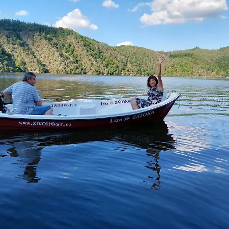 Zátoka živohošť - *