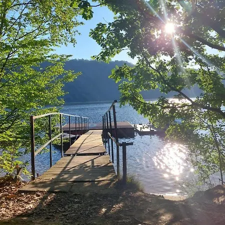 Kemp Zátoka živohošť - Chotilsko