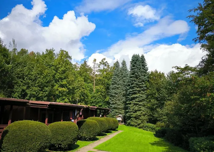 Zatoka Zivohost - キャンプ場 *